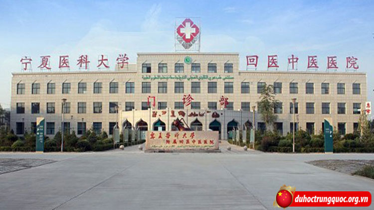 đại học y ninh hạ