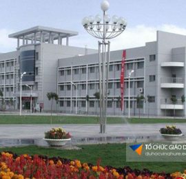 Đại học Ninh Hạ Trung Quốc