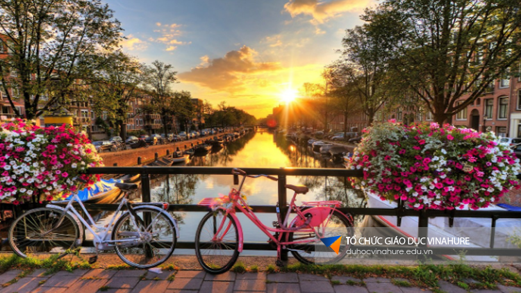 Xe đạp là phương tiện giao thông phổ biến tại Hà Lan